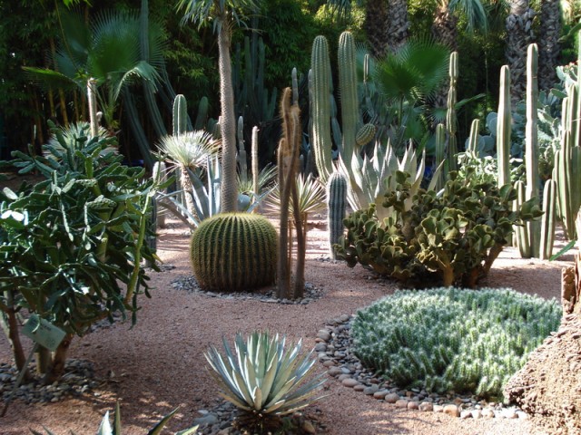 05 - Marrakech  Jardin Majorelle.jpg